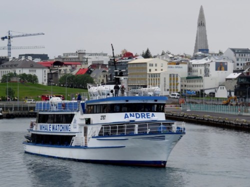 Others - Whale watching - Iceland,Special Tours - Andrea
