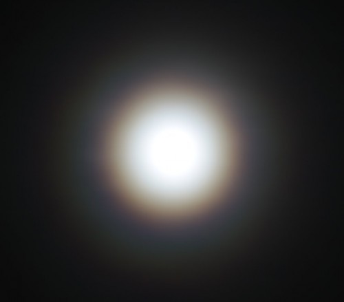 008-22012021-Mondkranz