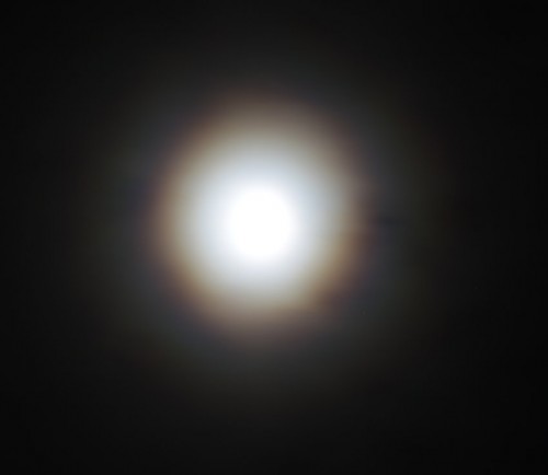 008-22012021-Mondkranz01